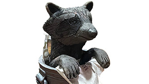 ger raccoon thumbnail